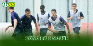 Bóng Đá 5 Người