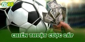 Chiến Thuật Cược Gấp