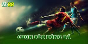 Chọn Kèo Bóng Đá