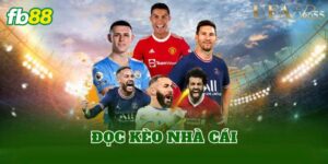 Đọc Kèo Nhà Cái