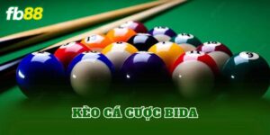 Kèo Cá Cược Bida