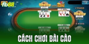 cach choi bai cao