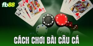cach choi bai cau ca