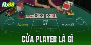 cua player la gi