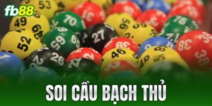 soi cau bach thu