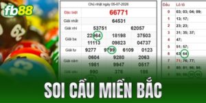 soi cau mien bac
