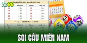soi cau mien nam
