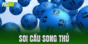 soi cau song thu