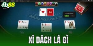 xi dach la gi